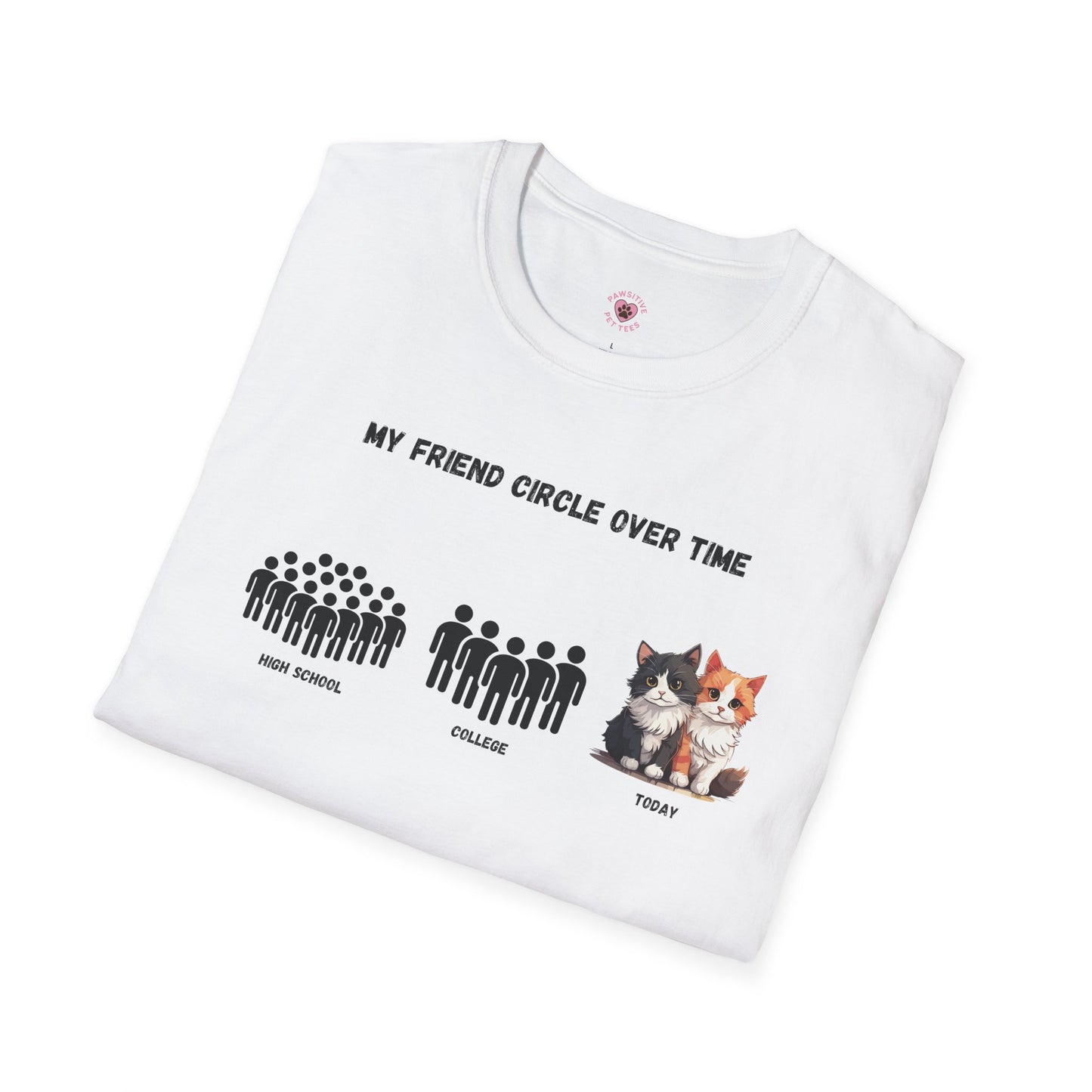 Friend Circle Over Time (Cat)