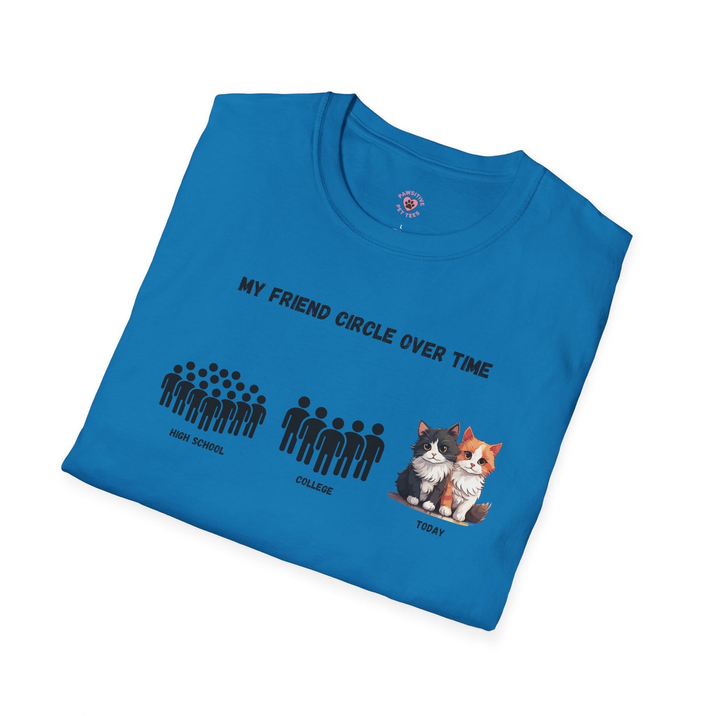 Friend Circle Over Time (Cat)