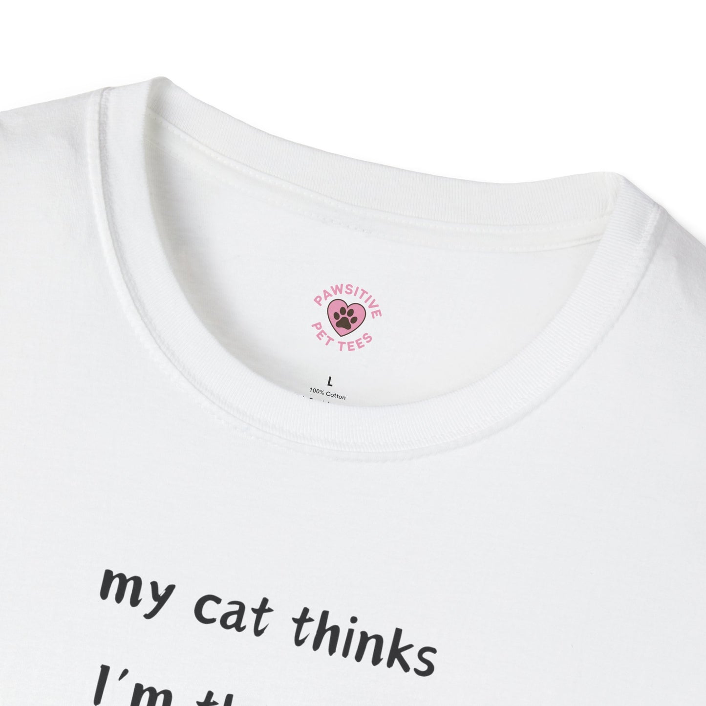 Cats Are Always Right