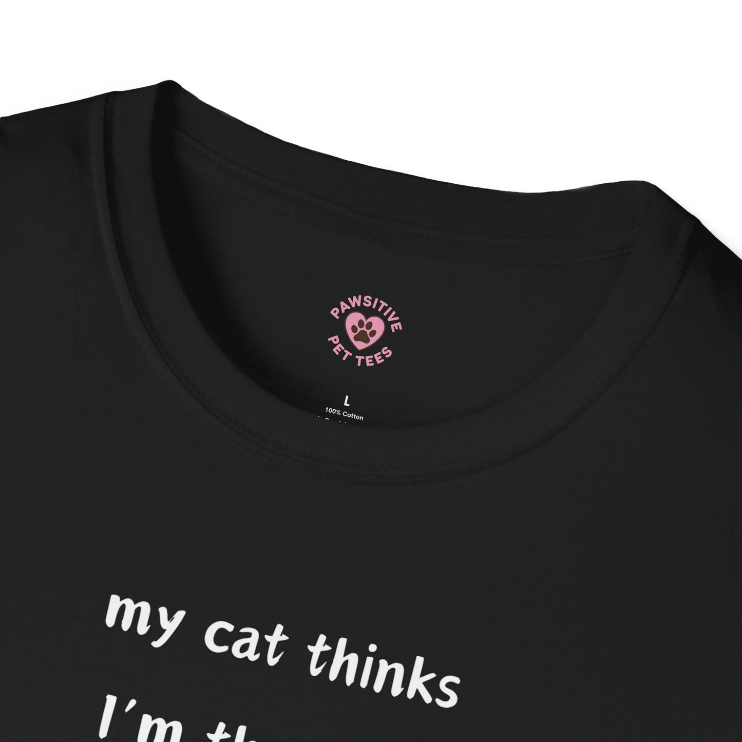 Cats Are Always Right