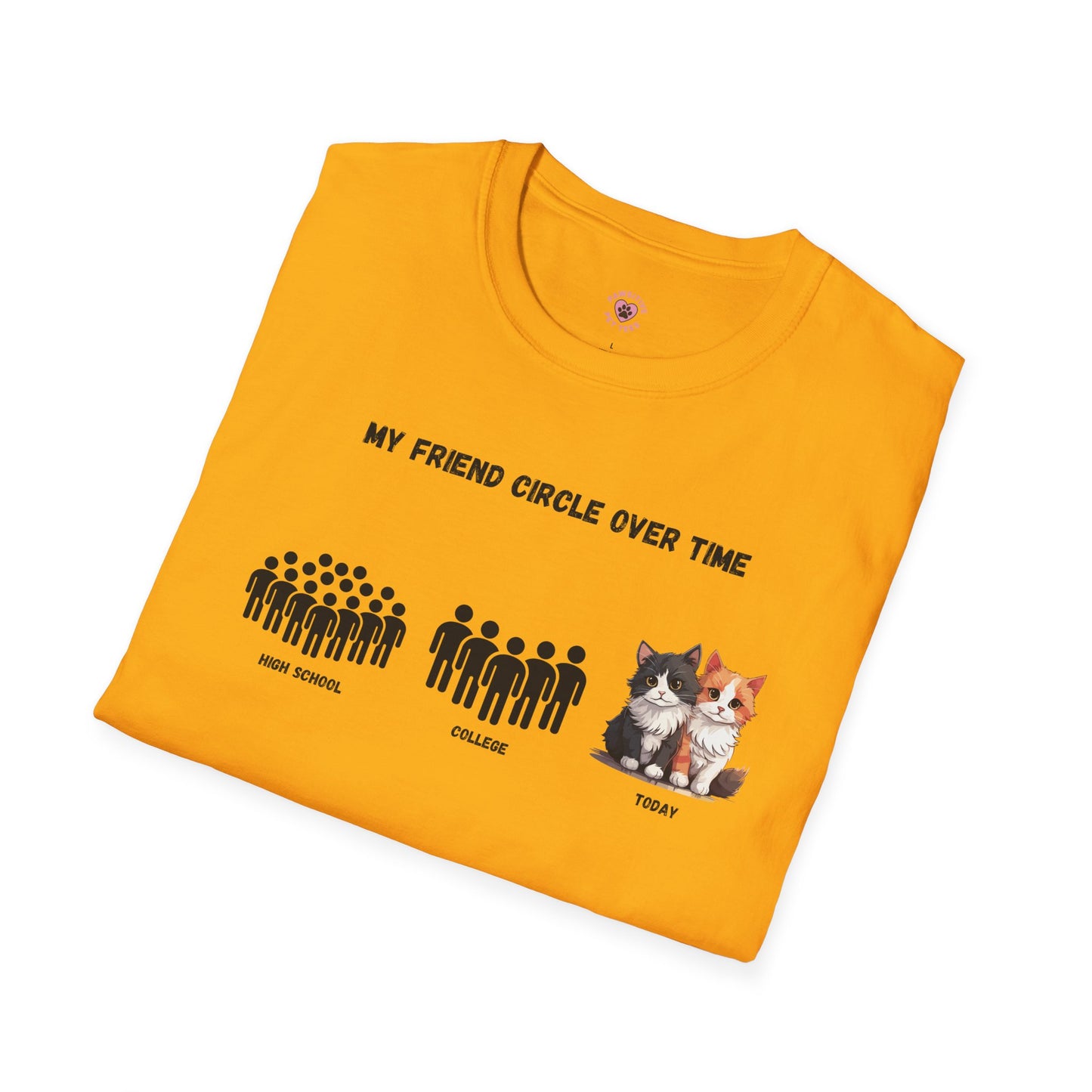 Friend Circle Over Time (Cat)