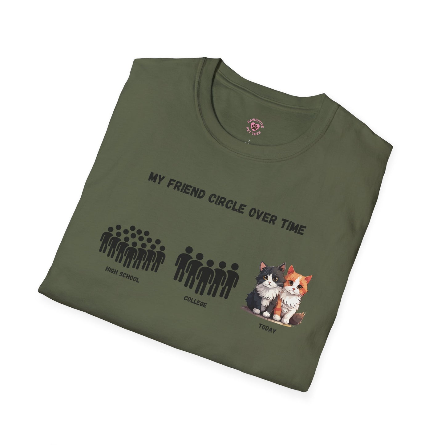 Friend Circle Over Time (Cat)