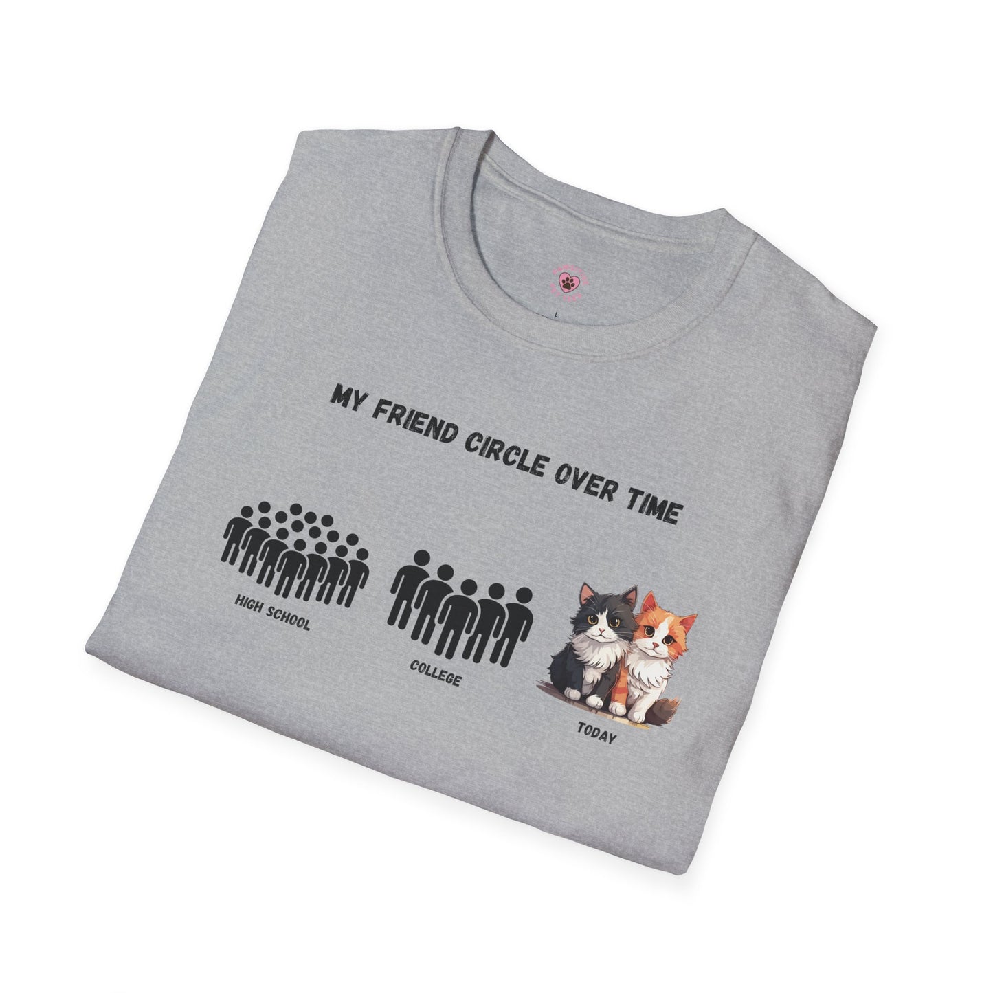Friend Circle Over Time (Cat)